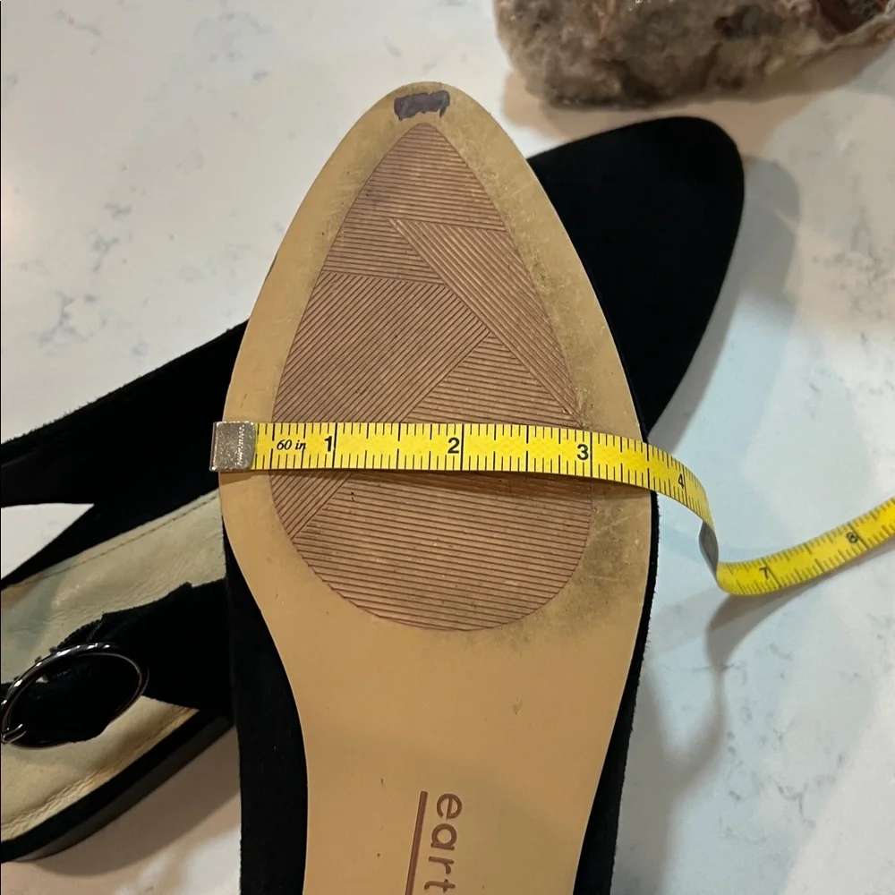 Earth Black Suede Slingback Flats